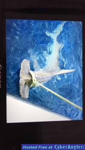 Click to Enlarge Photo