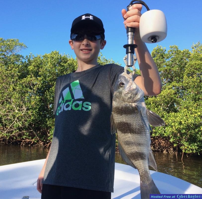 Black Drum 2