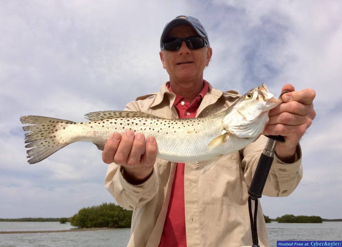 Seatrout 2