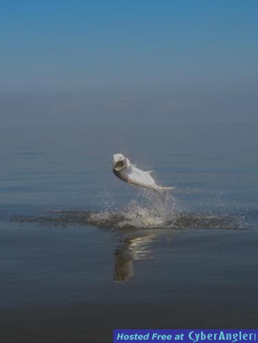 Click to Enlarge Photo