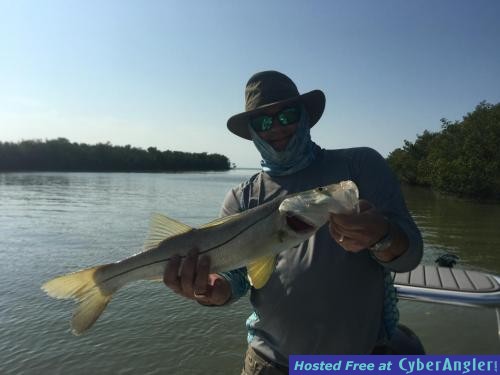 Click to Enlarge Photo