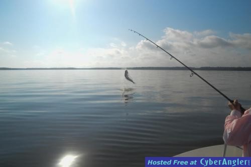 Click to Enlarge Photo