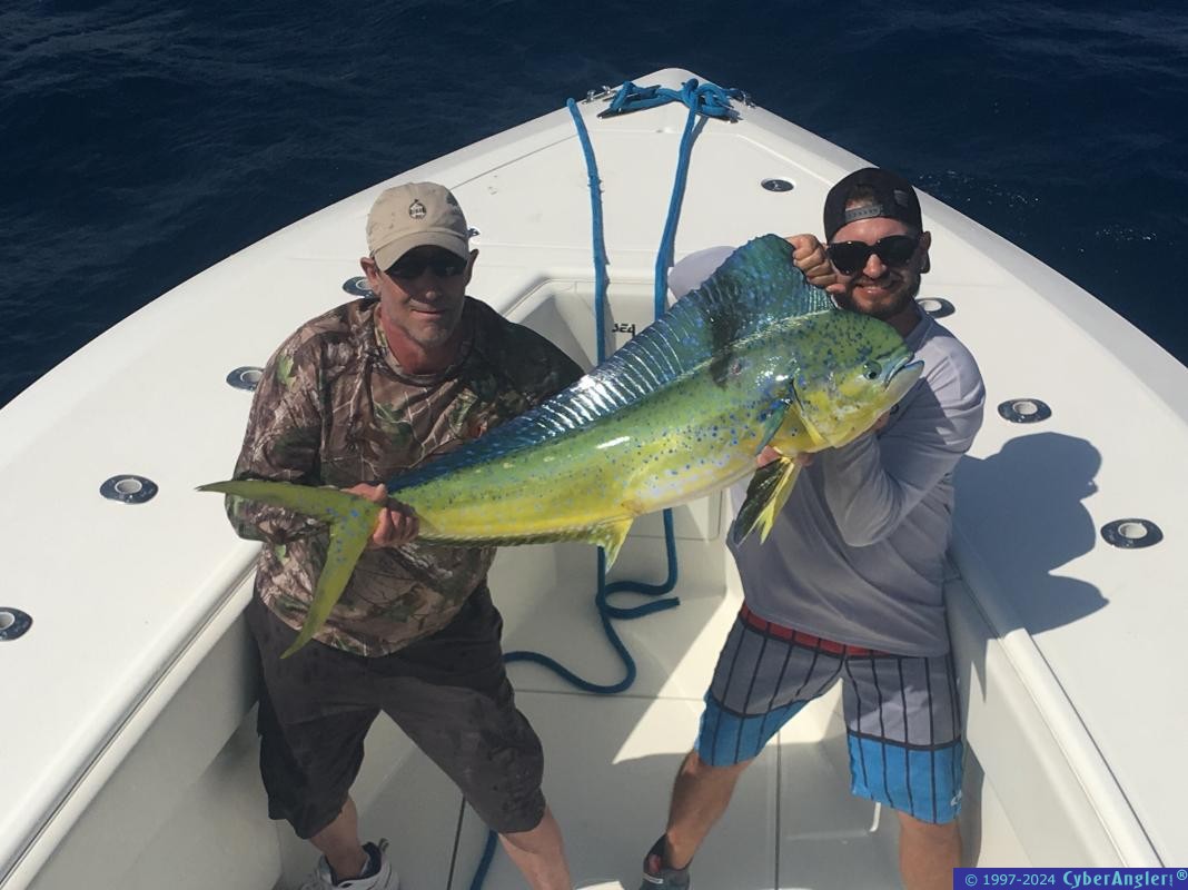 Click to Enlarge Photo