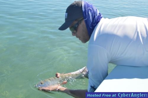 Click to Enlarge Photo