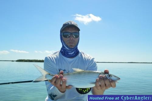 Click to Enlarge Photo