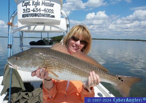 Click to Enlarge Photo