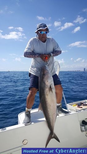 Click to Enlarge Photo