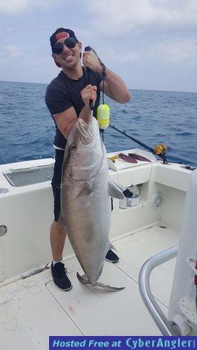 Click to Enlarge Photo