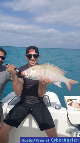 Click to Enlarge Photo