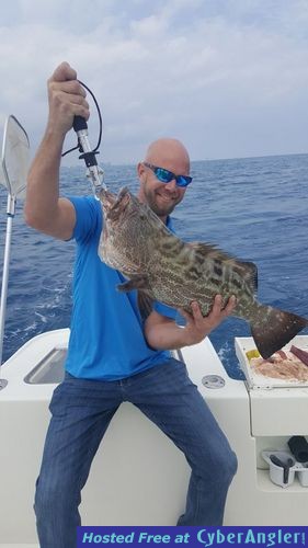 Click to Enlarge Photo