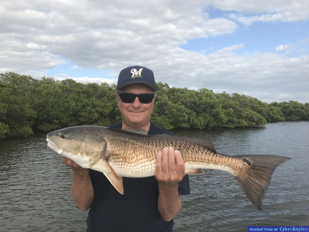 Estero Bay Overslot Redfish
