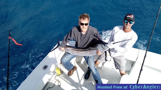 Sailfish Tony
