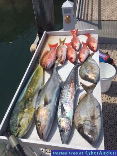Nice mix offshore