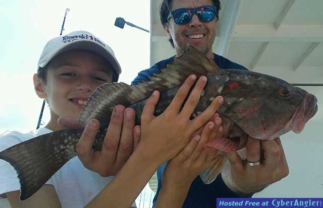 grouper