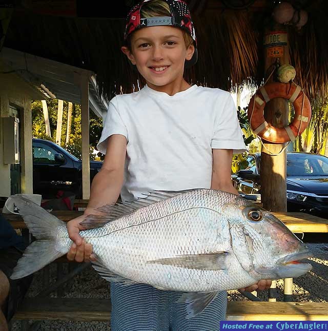 porgie