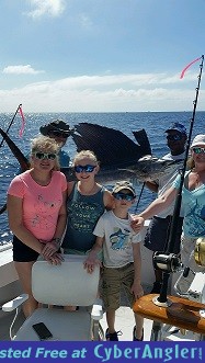 Sailfish Brad small