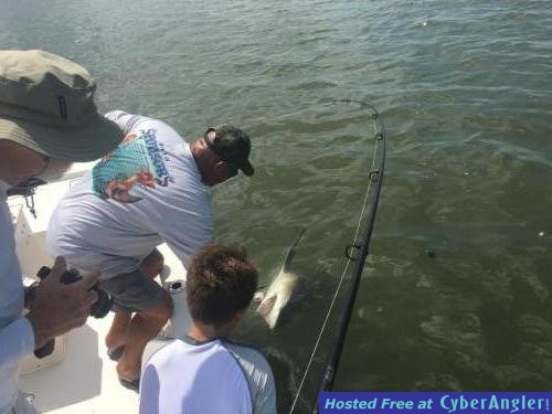 Click to Enlarge Photo