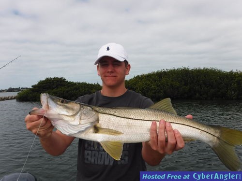 Click to Enlarge Photo