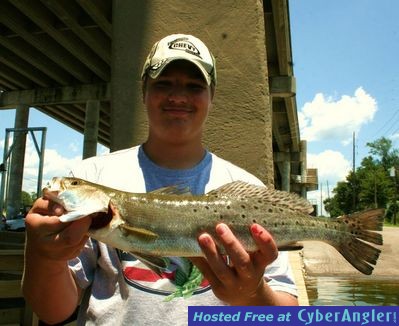 Click to Enlarge Photo