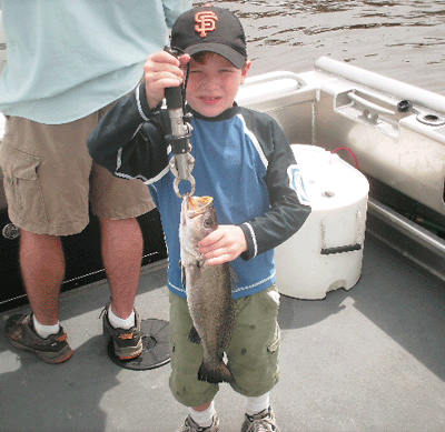 Click to Enlarge Photo