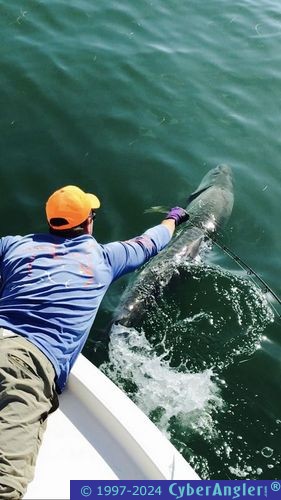 Click to Enlarge Photo