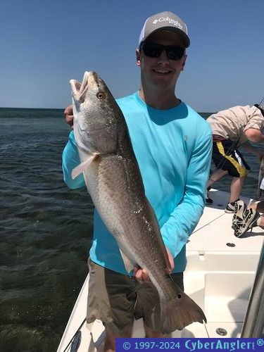 Click to Enlarge Photo