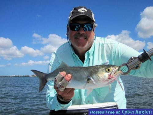 Click to Enlarge Photo