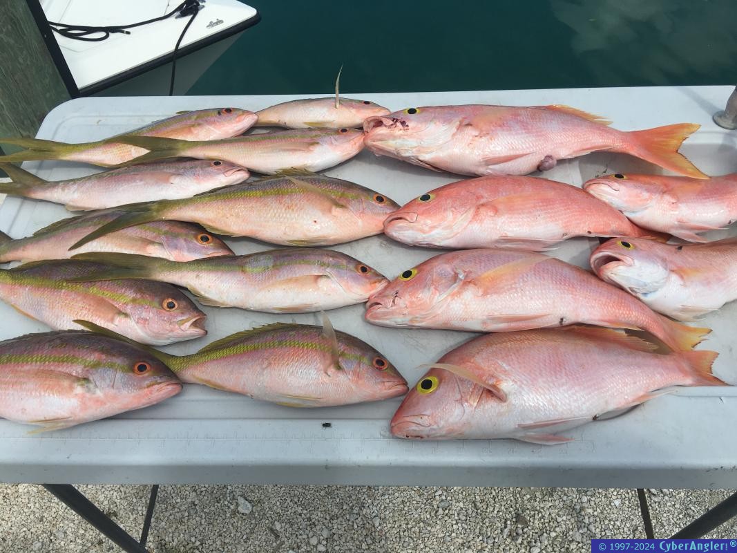 Click to Enlarge Photo