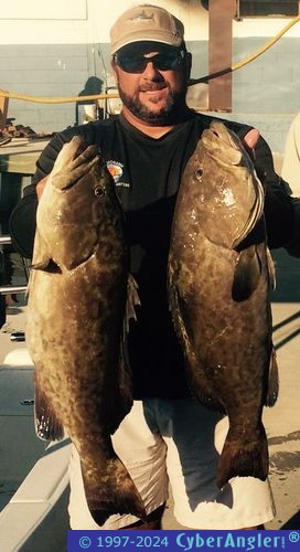 Click to Enlarge Photo