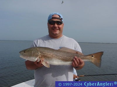 Click to Enlarge Photo