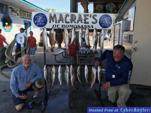 Click to Enlarge Photo