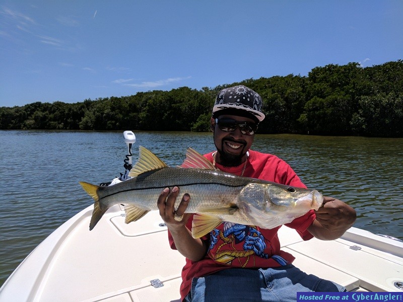 31&quot; Snook