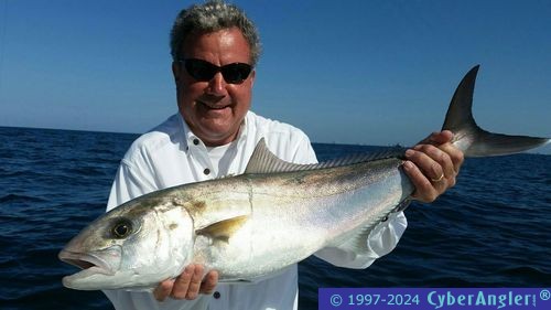 Click to Enlarge Photo