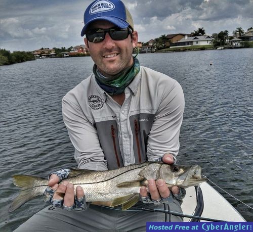 fly snook