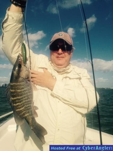 Click to Enlarge Photo