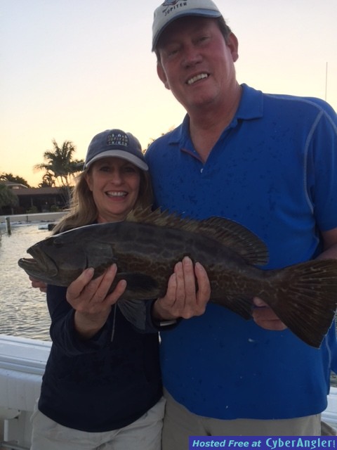 Inshore Grouper