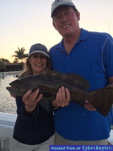 Inshore Grouper