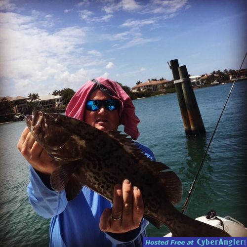 Inshore Grouper