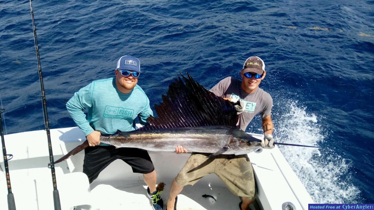 sail fish mike