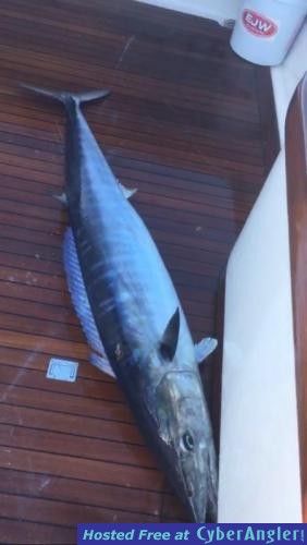 Click to Enlarge Photo