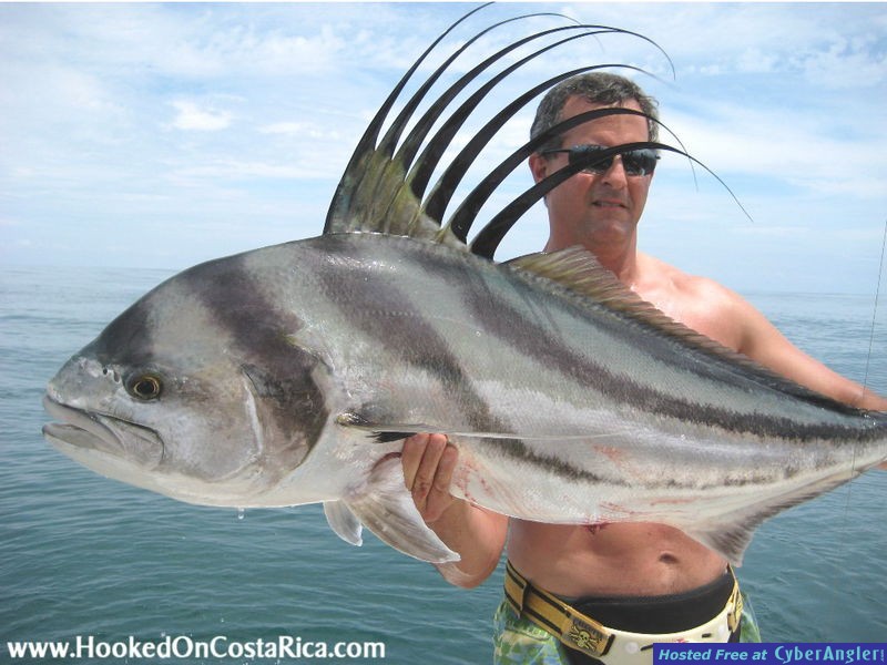 55lb. Roosterfish Los Suenos Costa Rica