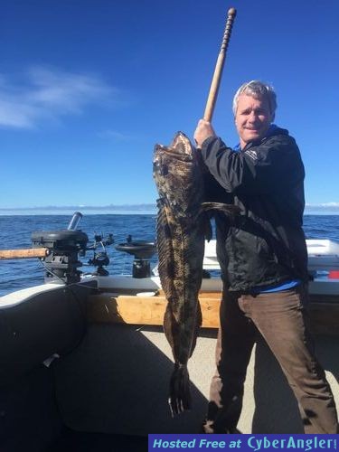 April 2017 Ucluelet BC Fishing Lingcod