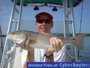 22 1/2 inch redfish