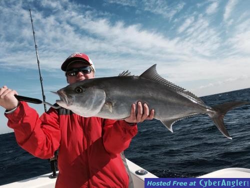 Click to Enlarge Photo