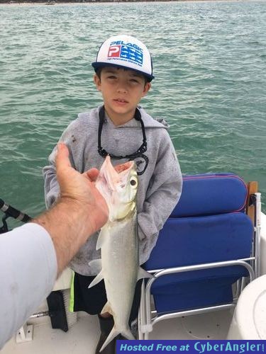 Click to Enlarge Photo