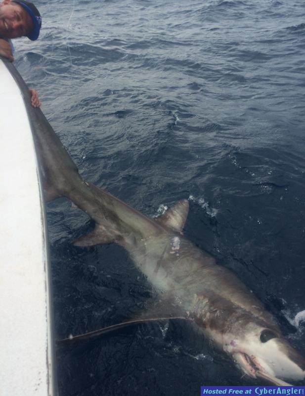 Click to Enlarge Photo