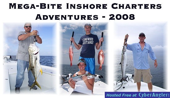 megabite2008