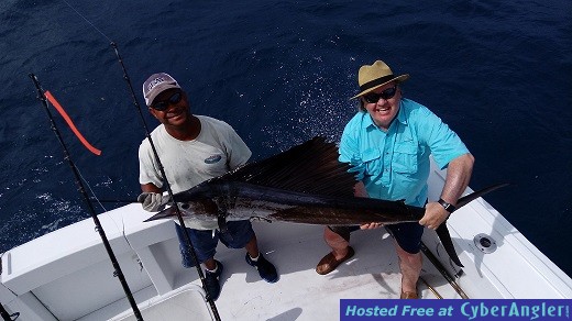 Sailfish Mark