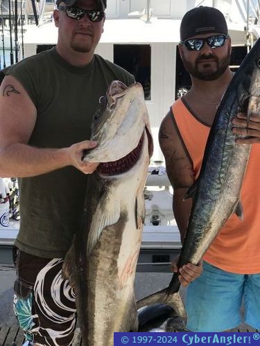 Click to Enlarge Photo