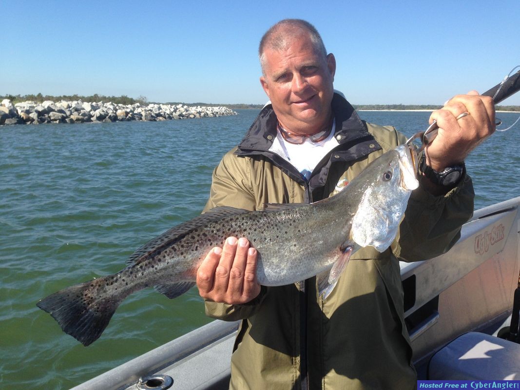 SPECKLED SEA TROUT